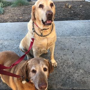 Meet your Posher, Lleslie